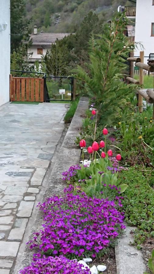 ואלטורננקה B&B Maison Odille מראה חיצוני תמונה